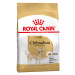 Royal Canin Chihuahua Adult - 1,5 kg