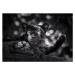 Fotografie Panther or leopard are relaxing, undefined undefined, 40x26.7 cm