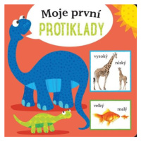 Moje první protiklady