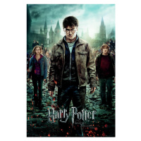 Plakát, Obraz - Harry Potter - Relikvie smrti trio, 80x120 cm