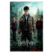 Plakát, Obraz - Harry Potter - Relikvie smrti trio, (80 x 120 cm)