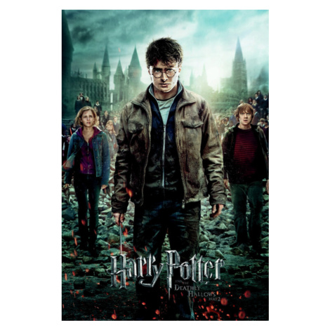 Plakát, Obraz - Harry Potter - Relikvie smrti trio, (80 x 120 cm)