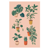 Ilustrace houseplants set, Alina Beketova, 26.7 × 40 cm