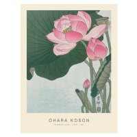 Obrazová reprodukce Blooming Lotus (Special Edition) - Ohara Koson, (30 x 40 cm)