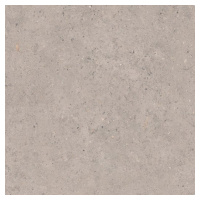 Dlažba Pastorelli Biophilic grey 60x60 cm mat P009496