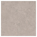 Dlažba Pastorelli Biophilic grey 60x60 cm mat P009496