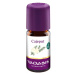 Taoasis Kajeput 5 ml