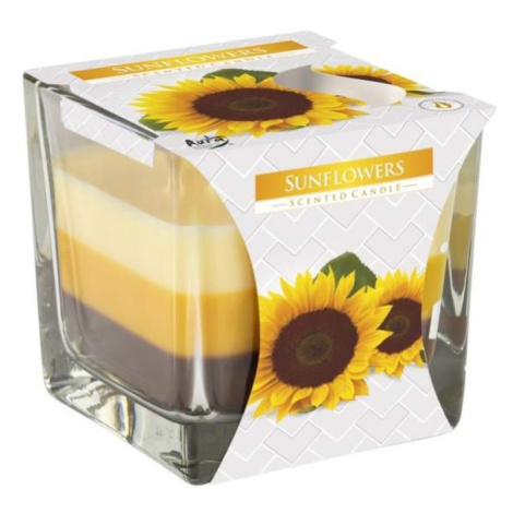 Svíčka vonná ve skle Sunflowers tříbarevná 8cm Z-TRADE