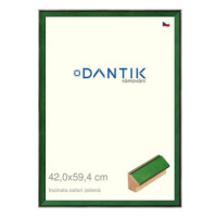 DANTIK rámeček 42 × 59,4, INCLINATA colori zelený plexi čiré