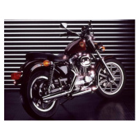 Fotografie Harley-Davidson, Italy, 40 × 30 cm