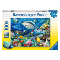 RAVENSBURGER - Žraločí útes 100 dílků