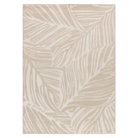 Krémový koberec 160x230 cm Sensation – Universal