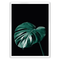 Dekoria Plakát Dark Monstera, 21 x  30 cm, Volba rámku: Bílý