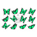 "Motýli mint 12ks" - A4