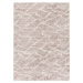 Béžový koberec 200x290 cm Class – Universal