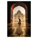 Fotografie taj mahal cleaner, Pavol Stranak, 26.7 × 40 cm