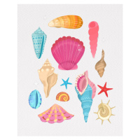 Ilustrace Seashells, Petra Lizde, (30 x 40 cm)
