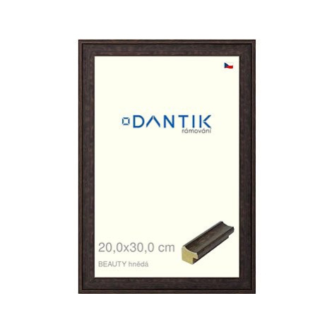 DANTIK rámeček 20 × 30, BEAUTY hnědý sklo čiré