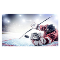 Fotografie Ice Hockey Goalie, Dmytro Aksonov, 40 × 22.2 cm