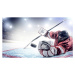 Fotografie Ice Hockey Goalie, Dmytro Aksonov, 40x22.5 cm