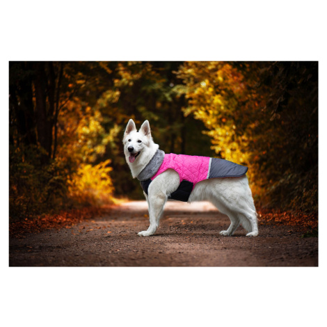 Vsepropejska Fogy stylová bunda pro psa Barva: Růžová, Délka zad (cm): 26, Obvod hrudníku: 34 - 