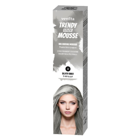 Venita trendy - barevné pěnové tužidlo na vlasy 11 stříbrný prach