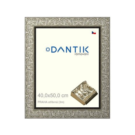 DANTIK rámeček 40 × 50, PRAHA stříbrný plexi čiré