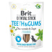 Pochoutka Brit Dental Stick Teeth & Gums s heřmánkem a šalvějí 7ks