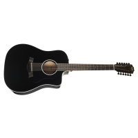 Taylor 250ce-BLK Plus