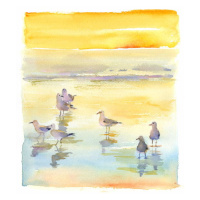 Keeling, John - Obrazová reprodukce Seagulls on beach, 2014,, (35 x 40 cm)