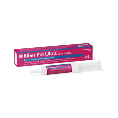 NBF Lanes ribes pet ultra pes a kočka pasta 30 g podpora regenerace pokožky