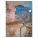 Umělecká fotografie The blue tree, Marc Pelissier, (30 x 40 cm)