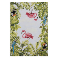 Kusový koberec Flair 105616 Tropical Birds Multicolored – na ven i na doma 240x340 cm