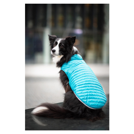 Vsepropejska Sonda oboustranná bunda pro psa Barva: Modrá, Délka zad (cm): 40, Obvod hrudníku: 5