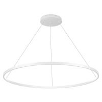 RLK-C01-30W-W | Jednodílná moderní závěsná lampa | LED | Bílý