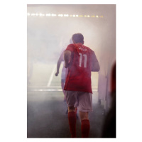 Fotografie A professional male soccer player jogs, Lighthouse Films, 26.7 × 40 cm