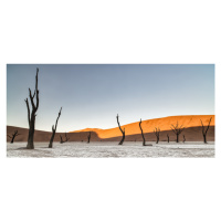 Fotografie Namibian desert, Luigi Ruoppolo, 50 × 22.5 cm