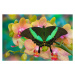 Fotografie Swallowtail butterfly  perching on orchid,, Darrell Gulin, 40 × 26.7 cm