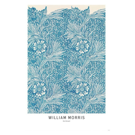 Plakát, Obraz - William Morris - Blue Marigold, (61 x 91.5 cm)