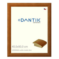 DANTIK rámeček 40 × 50, LEDVINKA světle hnědý plexi čiré