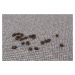 Vopi koberce Metrážový koberec Porto šedý - neúčtujeme odřezky z role! - S obšitím cm