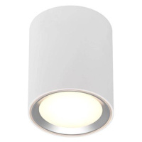 Nordlux Stmívatelné LED světlo Fallon Long - nerez, 100 mm, 120 mm