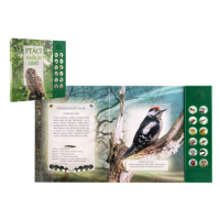 Albatros Zvuková knížka Ptáci našich lesů na baterie 22,5x21cm