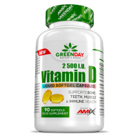 GREENDAY Vitamin D3 2500 I.U. 90 kapslí