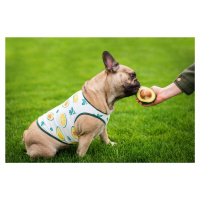 Vsepropejska Zada ovocné tričko s potiskem pro psa Barva: Zelená, Délka zad (cm): 25, Obvod hrud
