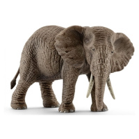 Schleich 14761 Slon africký samice