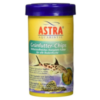 Astra GRÜNFUTTER CHIPS 250ml/110g kompletní krmivo pro tropické ryby žijící na d