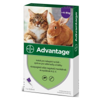 Bayer Advantage 80mg spot-on kočka, králík 4-8kg 1x0,8ml