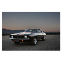 Ilustrace Performance Muscle Car, sierrarat, 40 × 26.7 cm