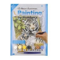 Malování podle čísel Bílí tygři 22x30cm